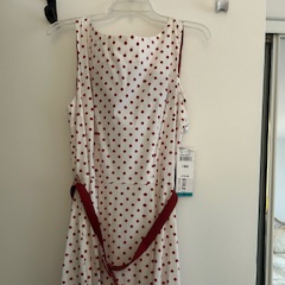 Red and white polka dot casual career dress